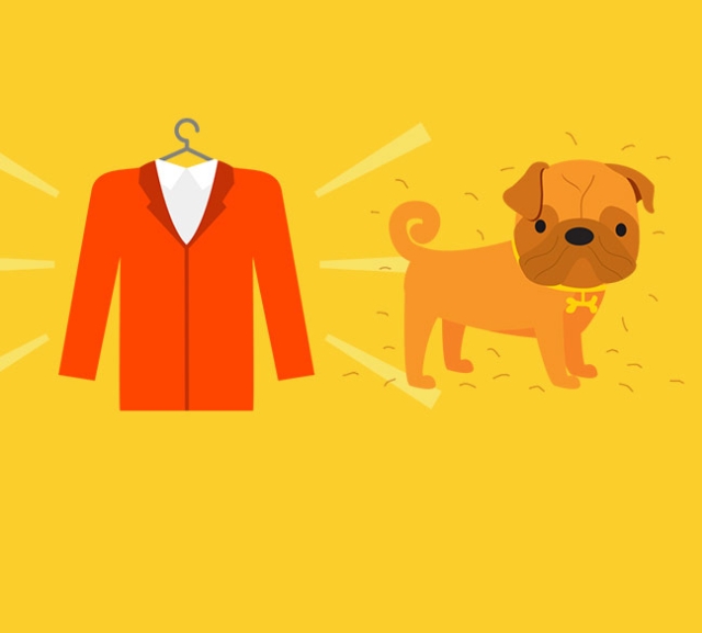 Tips to help prevent congestion- animal dander