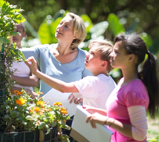 Seasonal Allergy Action Plan for School